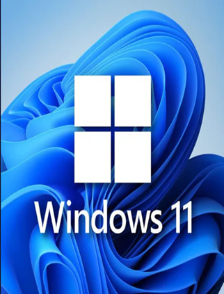 Windows 11 Pro CD Key